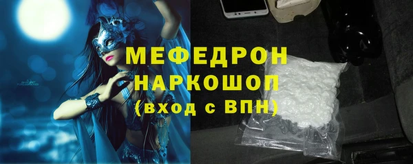 индика Медвежьегорск