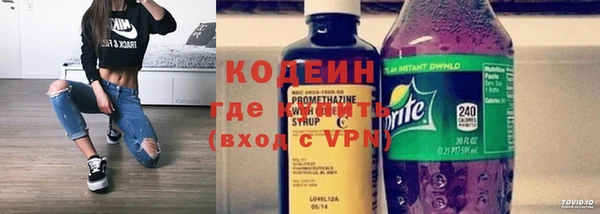 индика Медвежьегорск