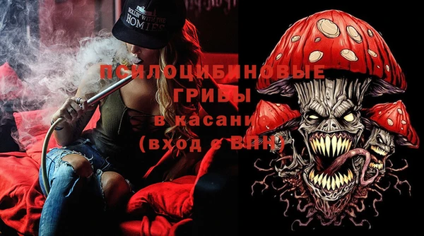 ПСИЛОЦИБИНОВЫЕ ГРИБЫ Медногорск