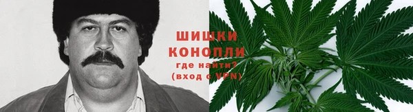 индика Медвежьегорск