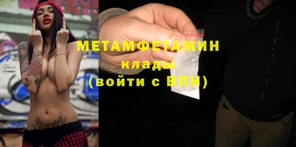 индика Медвежьегорск