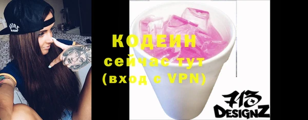 индика Медвежьегорск