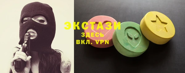индика Медвежьегорск