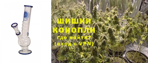 ПСИЛОЦИБИНОВЫЕ ГРИБЫ Медногорск