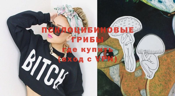 индика Медвежьегорск