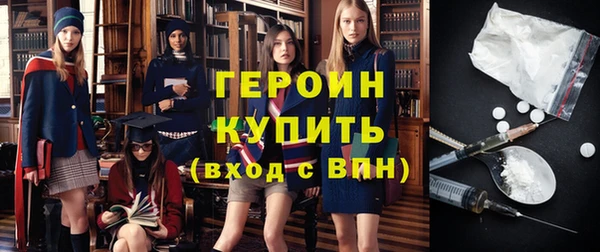 индика Медвежьегорск