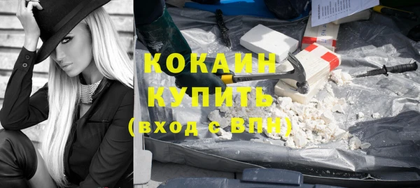 индика Медвежьегорск