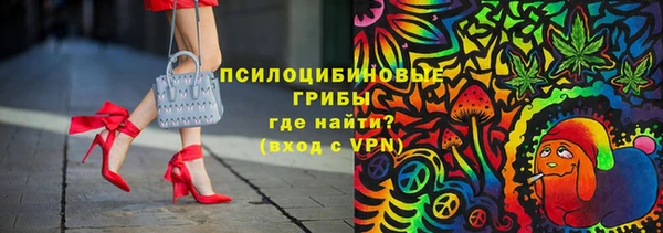 ПСИЛОЦИБИНОВЫЕ ГРИБЫ Медногорск