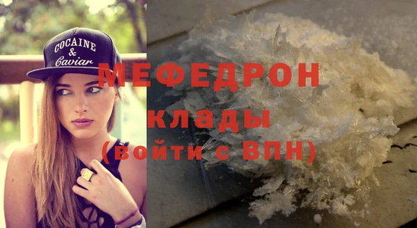 индика Медвежьегорск