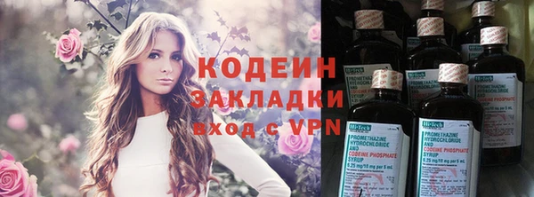 индика Медвежьегорск