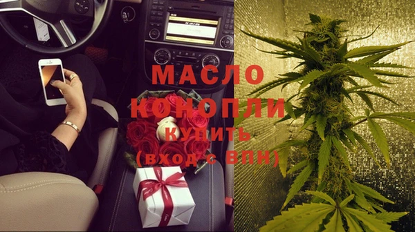 индика Медвежьегорск