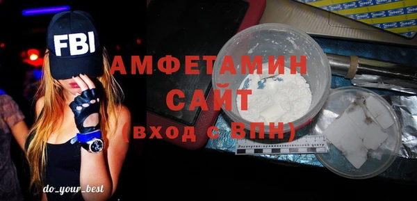 индика Медвежьегорск