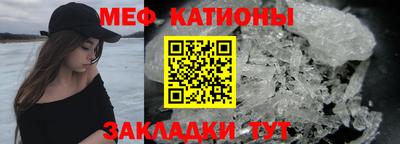 шишки Кандалакша
