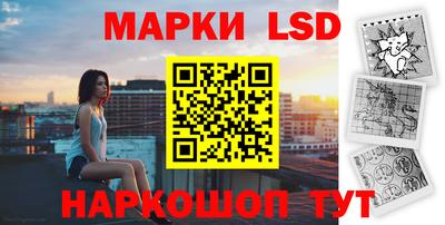 шишки Кандалакша