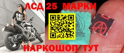 шишки Кандалакша