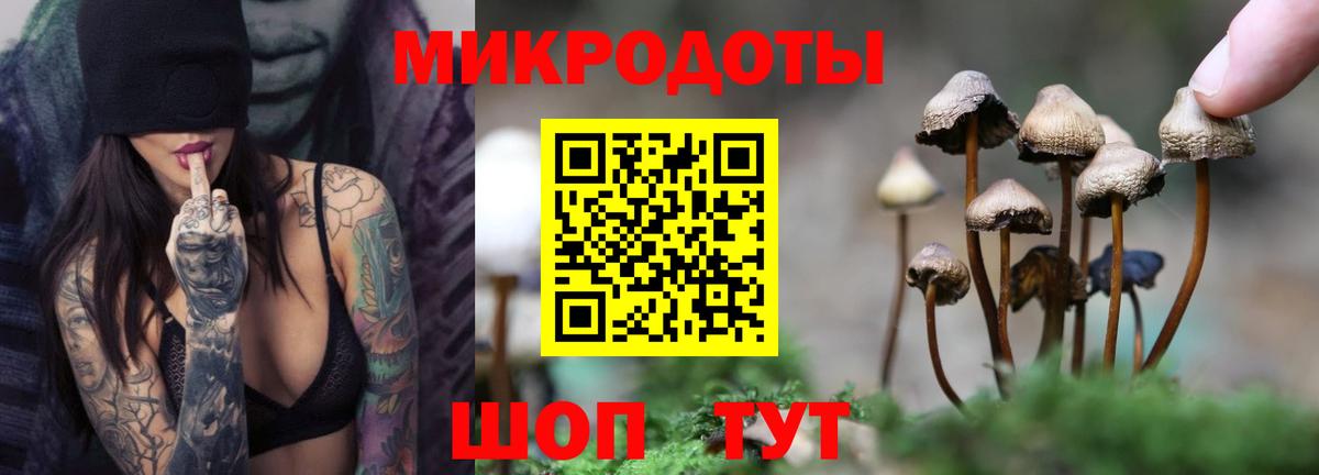 Майский  Галлюциногенные грибы GOLDEN TEACHER  Вход с VPN  Галлюциногенные грибы Psilocybe 